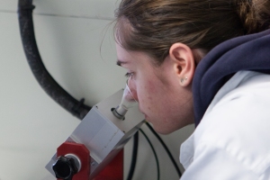 LIBR offers a wide arsenal of advance and standard beer analysis